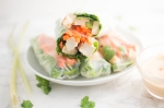 Tofu Spring roll